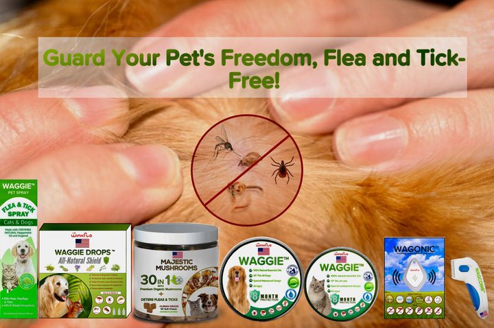 Flea & Tick (Synergistic)